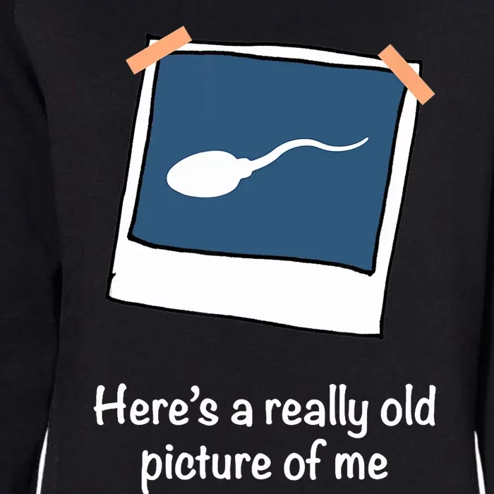 Here's A Really Old Picture Of Me Funny Sperm Gag Adult Womens California Wash Sweatshirt