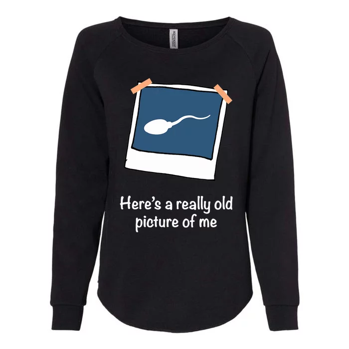 Here's A Really Old Picture Of Me Funny Sperm Gag Adult Womens California Wash Sweatshirt