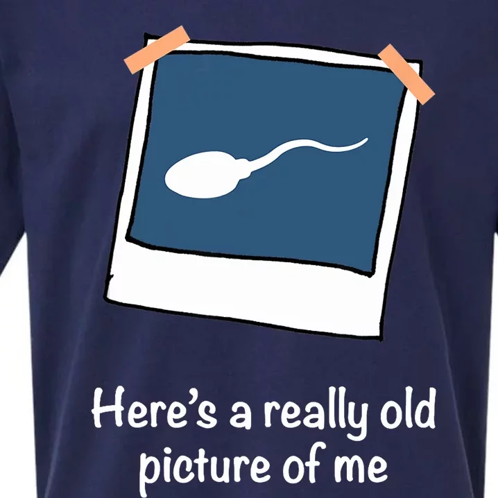 Here's A Really Old Picture Of Me Funny Sperm Gag Adult Sueded Cloud Jersey T-Shirt