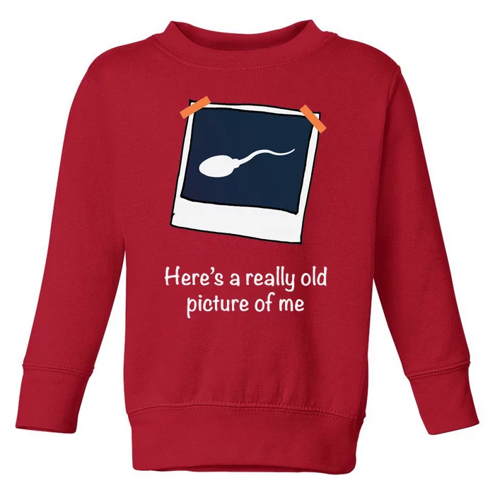 HereS A Really Old Picture Of Me Funny Sperm Gag Adult Toddler Sweatshirt