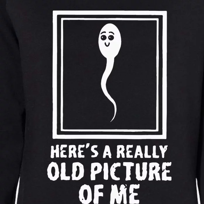 Heres A Really Old Picture Of Me Funny Fun Sperm Birthday Womens California Wash Sweatshirt