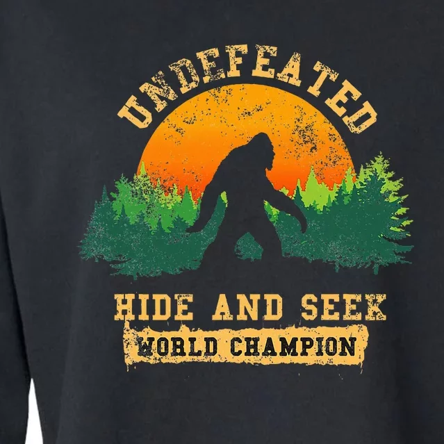 Hide And Seek World Champion Cropped Pullover Crew