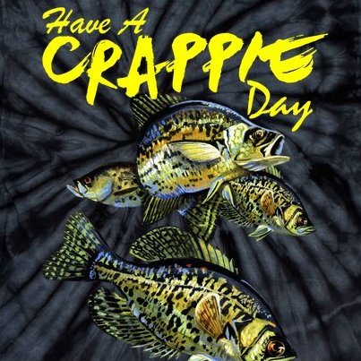 Have A Crappie Day Panfish Funny Fishing Tie-Dye T-Shirt