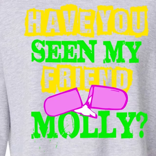 Have You Seen My Friend Molly Cropped Pullover Crew