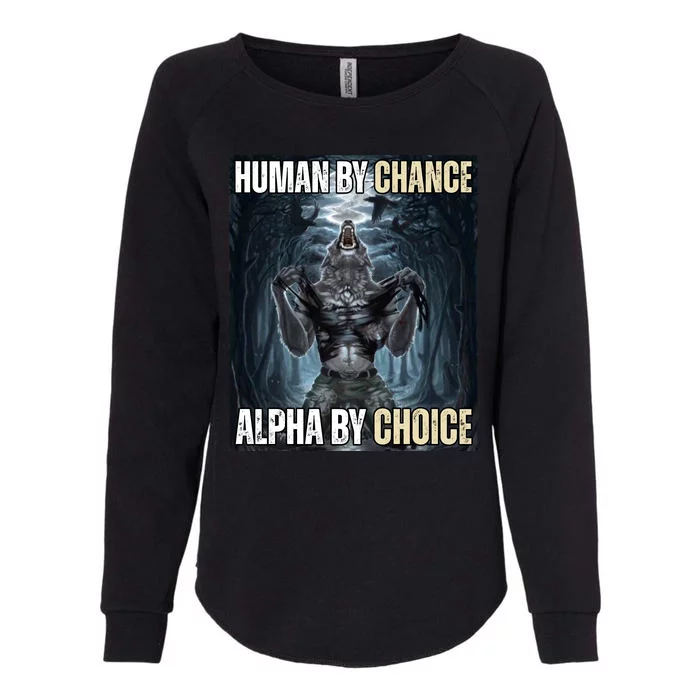 Human By Chance Alpha By Choice Funny Womens California Wash Sweatshirt