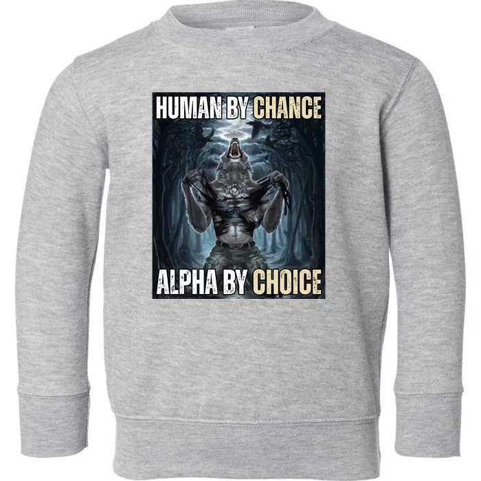 Human By Chance Alpha By Choice Funny Toddler Sweatshirt