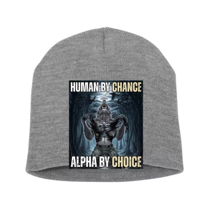 Human By Chance Alpha By Choice Funny Short Acrylic Beanie