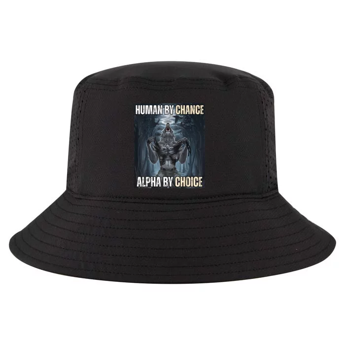 Human By Chance Alpha By Choice Cool Funny Alpha Wolf Meme Cool Comfort Performance Bucket Hat