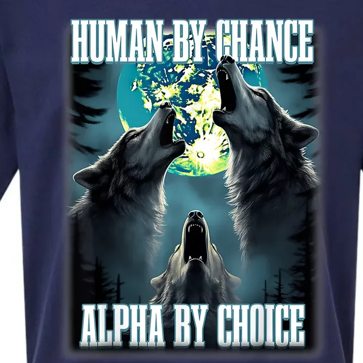 Human By Chance Alpha By Choice Funny Alpha Wolf Meme Sueded Cloud Jersey T-Shirt