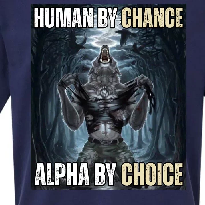 Human By Chance Alpha By Choice Funny Wolf Meme Sueded Cloud Jersey T-Shirt