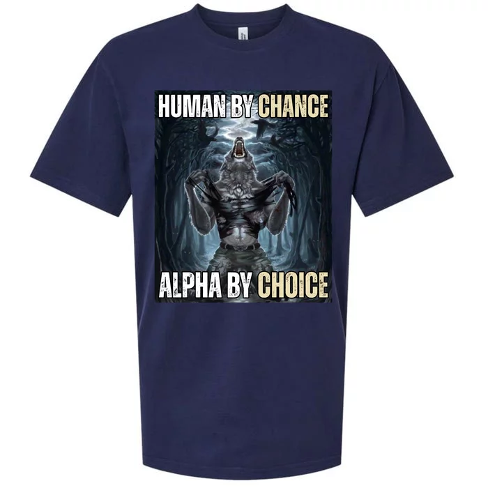 Human By Chance Alpha By Choice Funny Wolf Meme Sueded Cloud Jersey T-Shirt