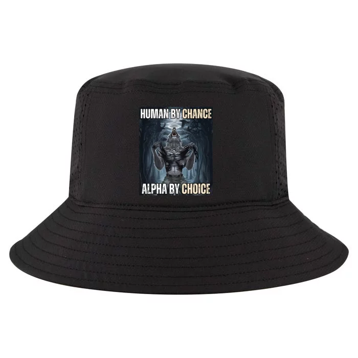 Human By Chance Alpha By Choice Cool Funny Alpha Wolf Meme Cool Comfort Performance Bucket Hat