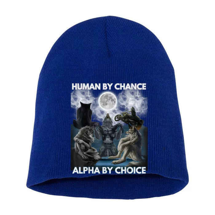 Human By Chance Alpha By Choice Wolf Vintage Short Acrylic Beanie