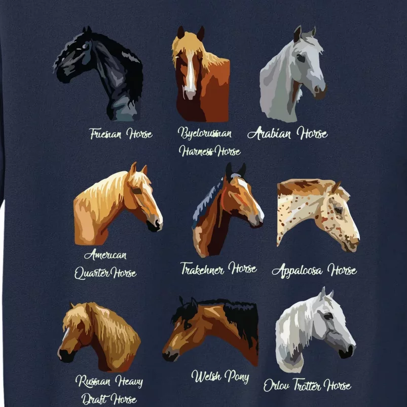 Horse Breeds Equestrian Horseback Riding Gift Tall Sweatshirt