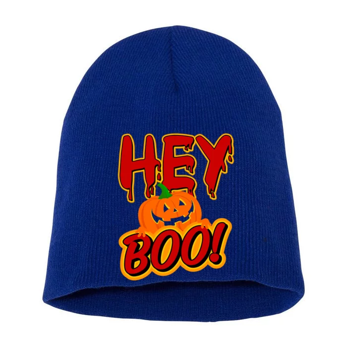 Hey Boo Funny Halloween Pun Ghost Spooky Funny Gift Short Acrylic Beanie