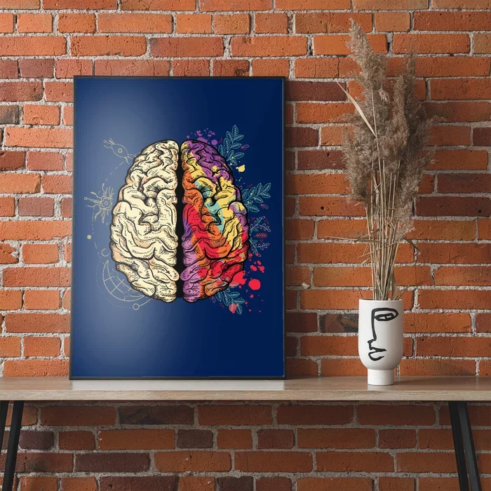 Human Brain Poster