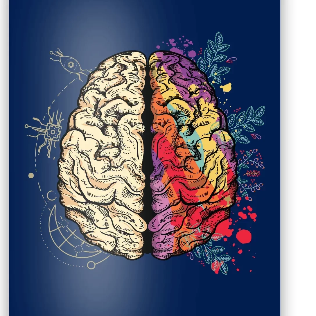 Human Brain Poster