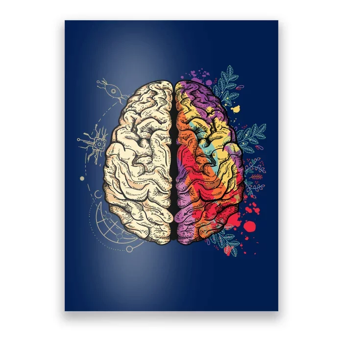 Human Brain Poster