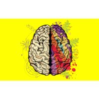 Human Brain Bumper Sticker