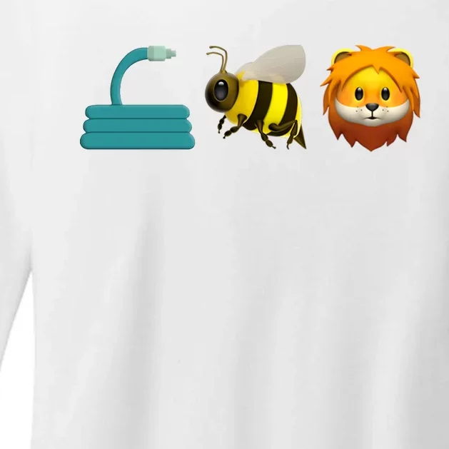 Hose Bee Lion Emoji Womens CVC Long Sleeve Shirt