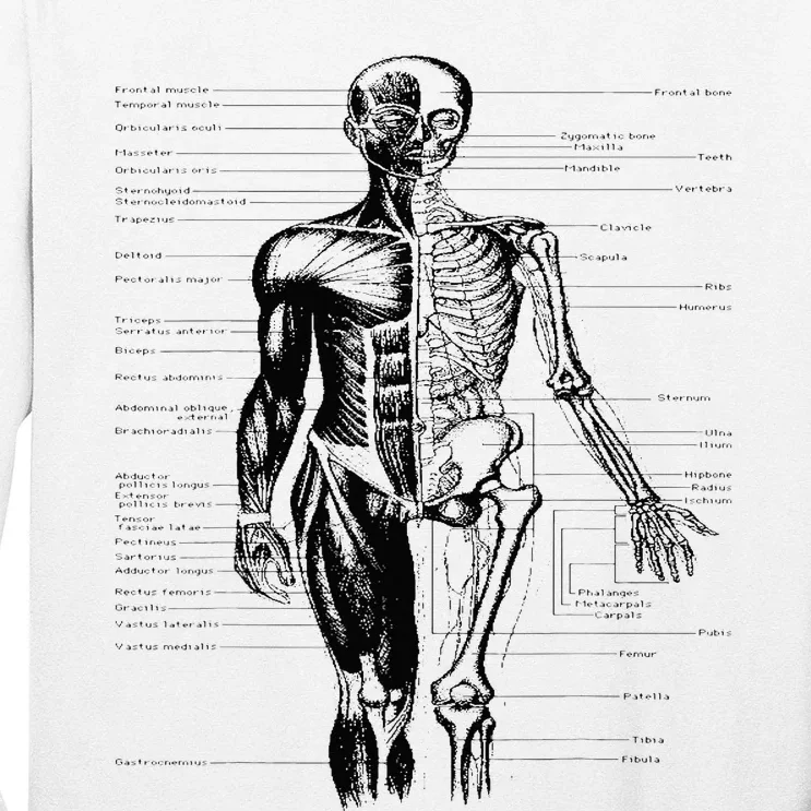 Human Body Muscle Anatomy Hospital funny nurse day Long Sleeve Shirt