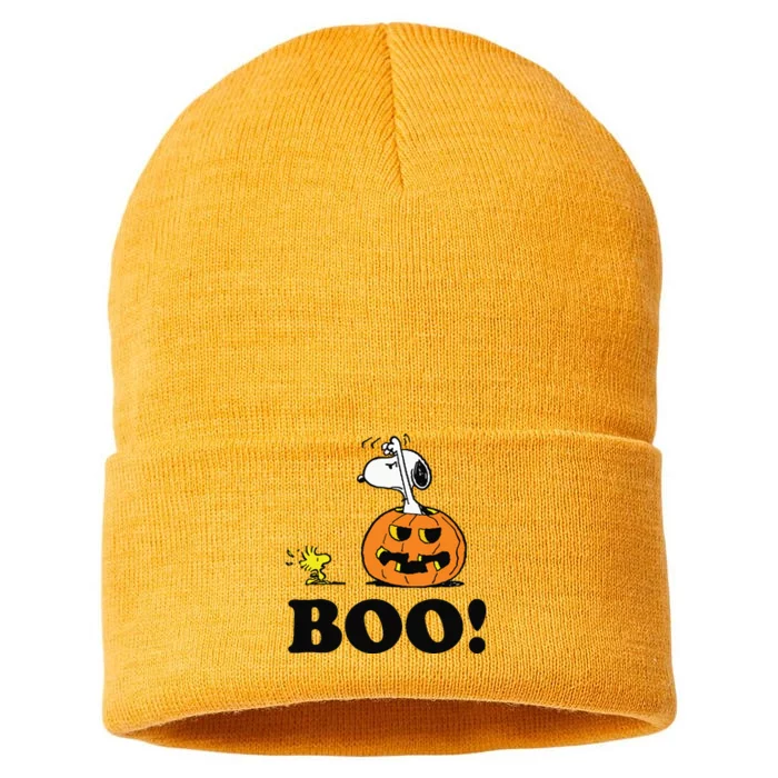 Halloween Boo Raglan Baseball Sustainable Knit Beanie