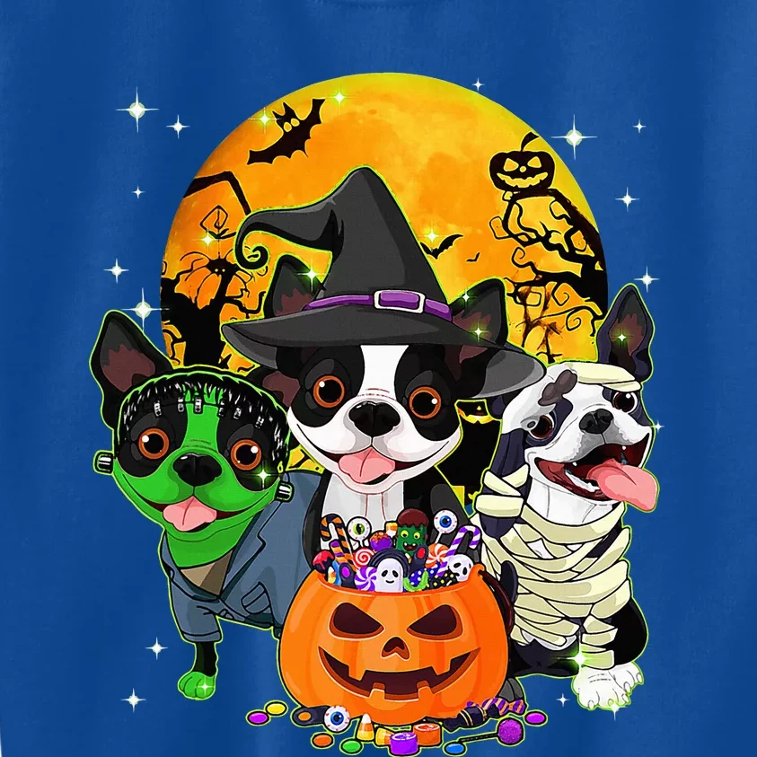 Hilarious Boston Terrier Witch Halloween Dog Outfits Pumpkin Kids Sweatshirt