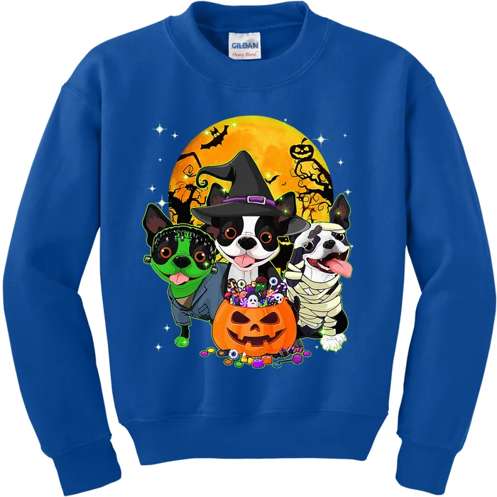 Hilarious Boston Terrier Witch Halloween Dog Outfits Pumpkin Kids Sweatshirt