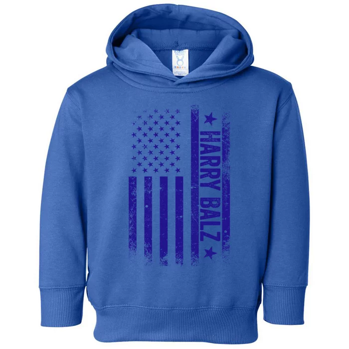 Harry Balz Usa Flag Political Gift Toddler Hoodie