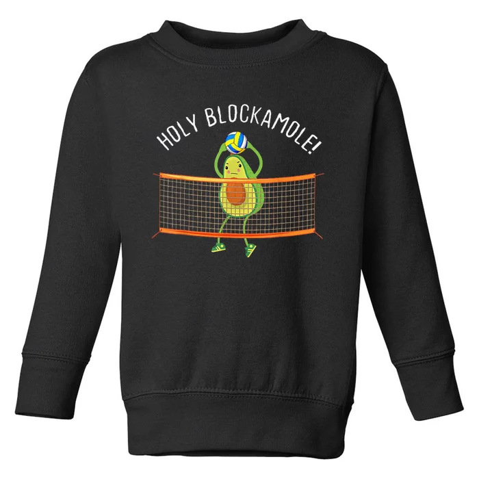 Holy Blockamole Volleyball Cute Funny Toddler Sweatshirt