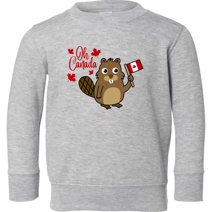 Happy Canada Day Funny Canadian Groundhog Flag Toddler Sweatshirt