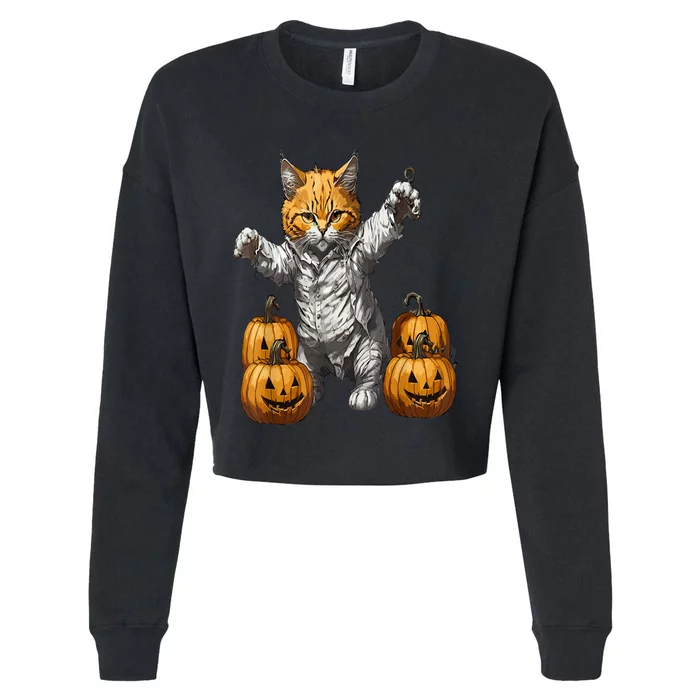 Halloween Cats Funny Cat Halloween Cropped Pullover Crew