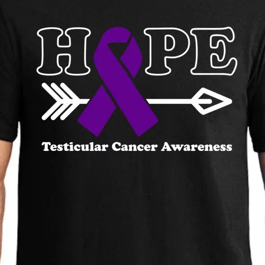 Hope Cool Gift Testicular Cancer Awareness Purple Ribbon Funny Gift Pajama Set