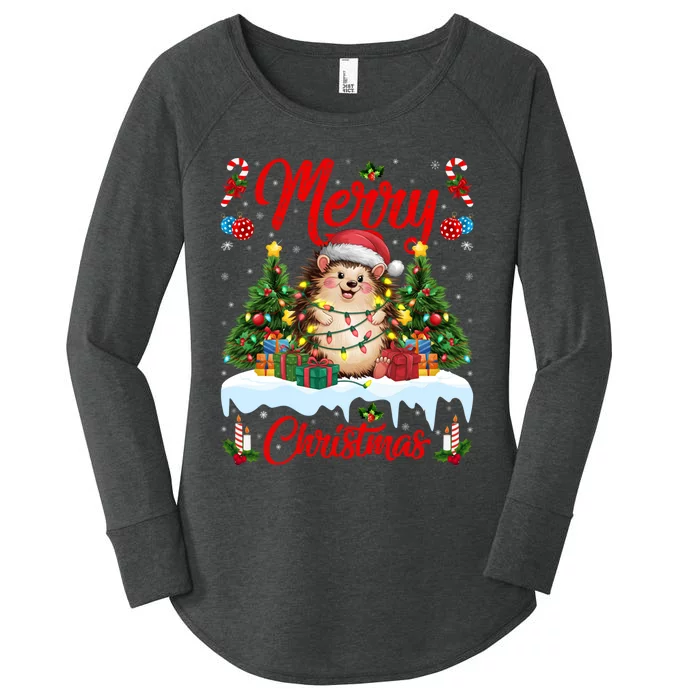 Hedgehog Christmas Hedgehog Xmas Tree Lighting Santa Hat Women's Perfect Tri Tunic Long Sleeve Shirt