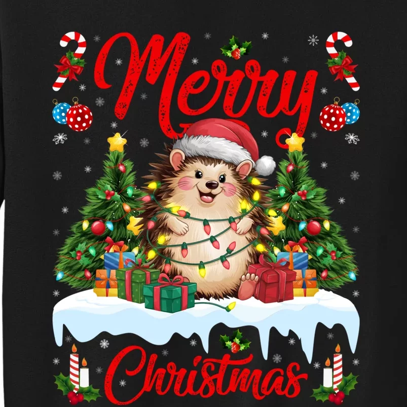 Hedgehog Christmas Hedgehog Xmas Tree Lighting Santa Hat Tall Sweatshirt