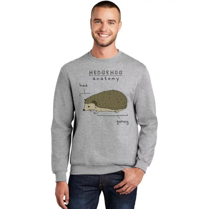 Hedgehog cute Hedgehogs Tall Sweatshirt