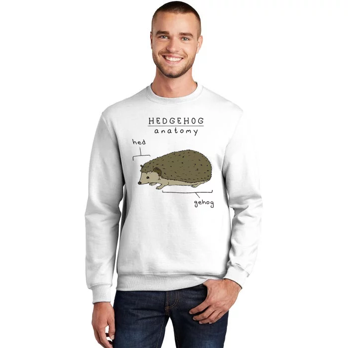 Hedgehog cute Hedgehogs Sweatshirt