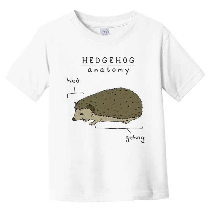 Hedgehog cute Hedgehogs Toddler T-Shirt