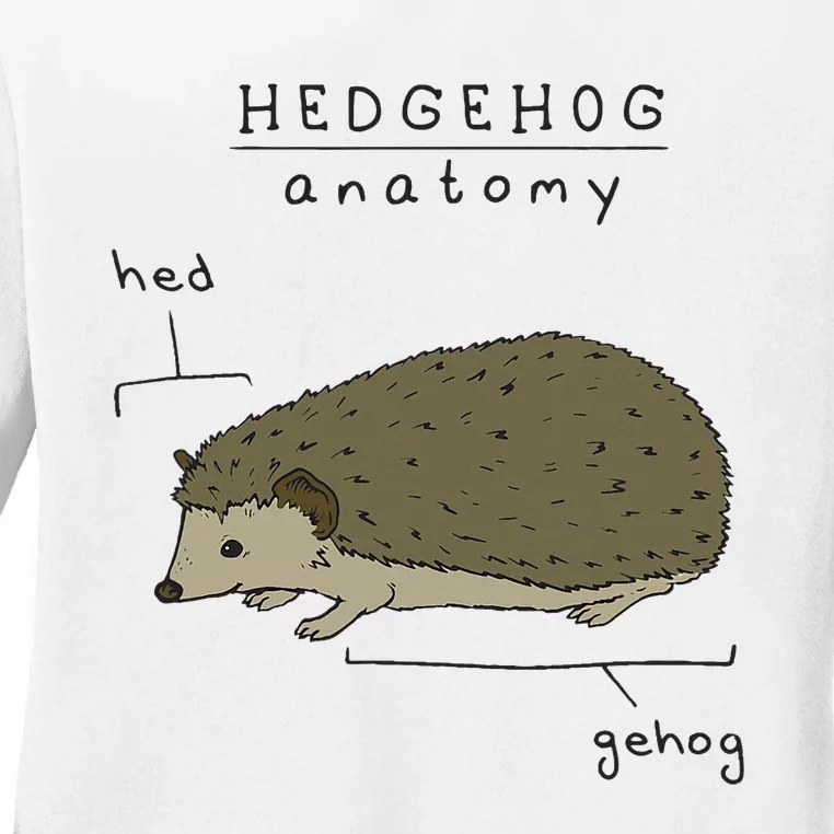 Hedgehog cute Hedgehogs Ladies Long Sleeve Shirt