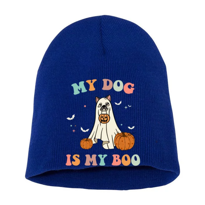 Halloween Charm: My Dog Is My Boo Gift Short Acrylic Beanie