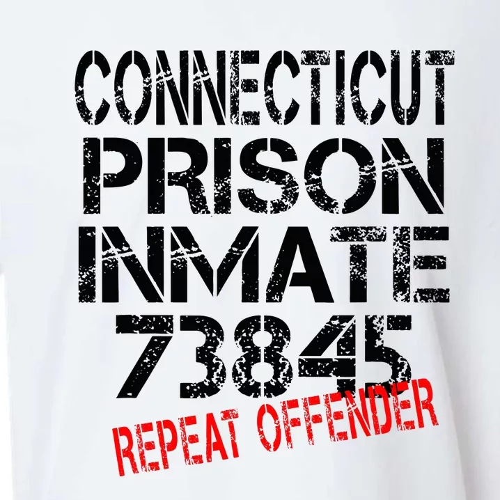 Halloween Connecticut Prisoner Party Costume Sueded Cloud Jersey T-Shirt