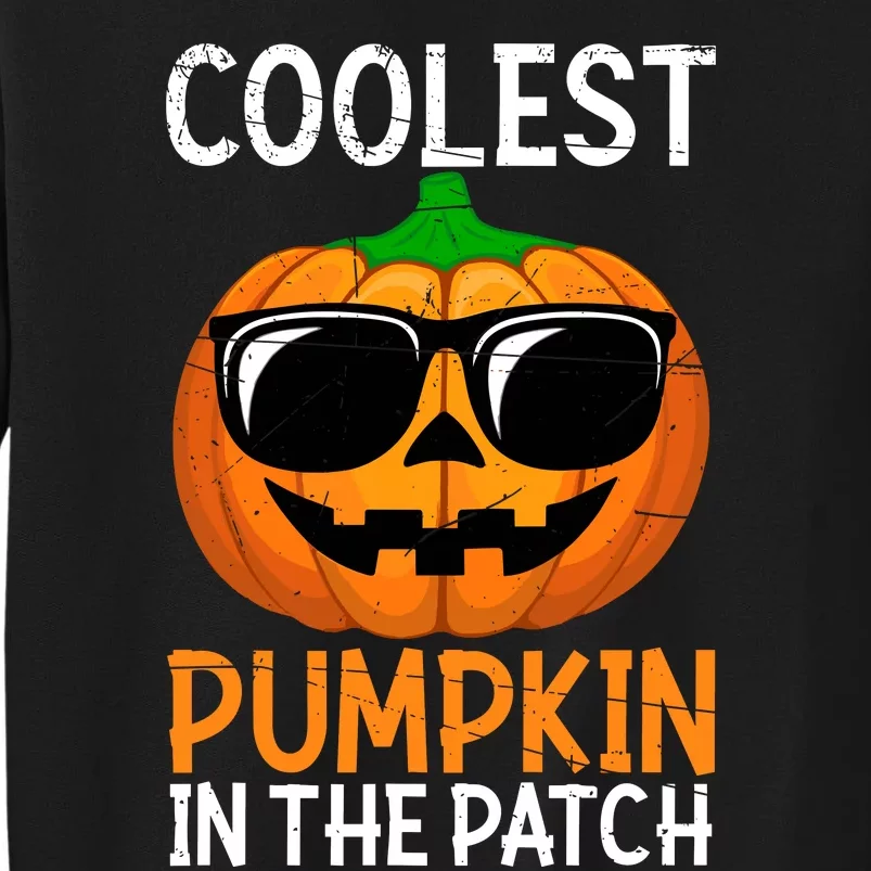 Halloween Coolest Pumpkin In The Patch Sweatshirt