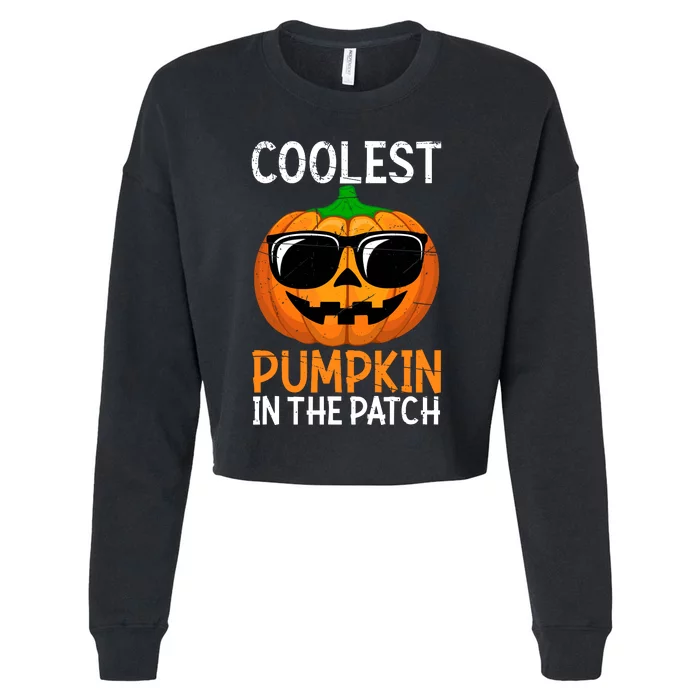 Halloween Coolest Pumpkin In The Patch Cropped Pullover Crew