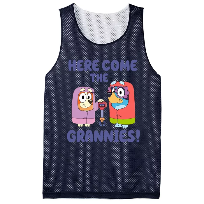 Here Come The Grannies Bluyye Grannies Mesh Reversible Basketball Jersey Tank