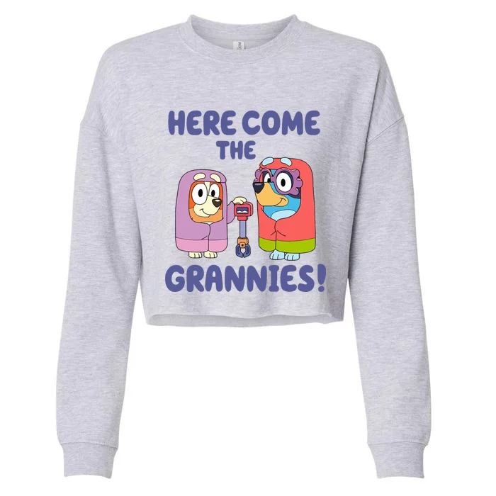 Here Come The Grannies Bluyye Grannies Cropped Pullover Crew