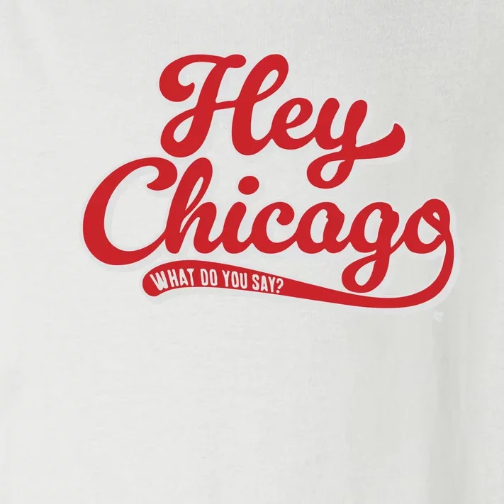 Hey Chicago What Do You Say Toddler Long Sleeve Shirt