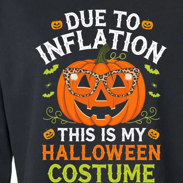 Halloween Costumes Woman 2024 Funny Due To Inflation Cropped Pullover Crew