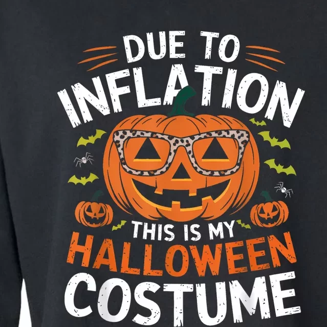 Halloween Costumes Woman 2024 Funny Due To Inflation Cropped Pullover Crew