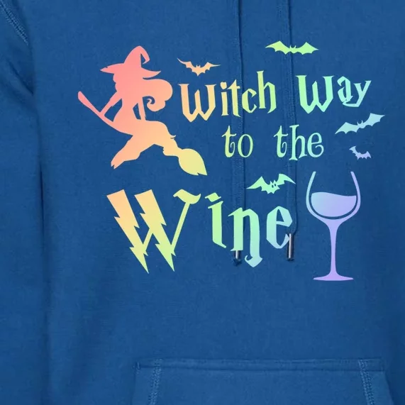 Halloween Costumes Witch Way To The Wine Lover Fun Gift Premium Hoodie