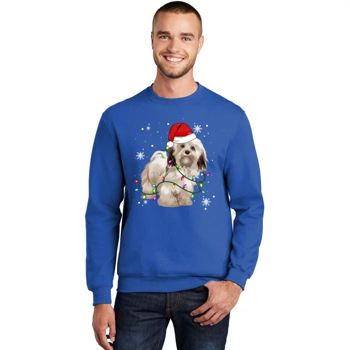 Havanese Dog Christmas Light Christmas Dog Santa Hat Lover Cute Gift Tall Sweatshirt